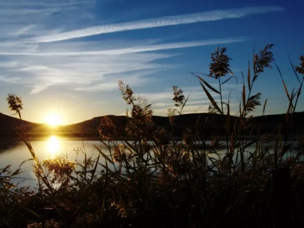 Atardecer sobre una laguna con vegetación de ribera en primer plano