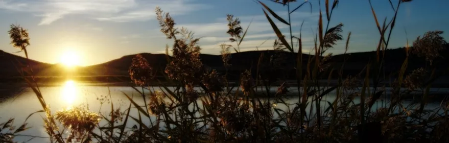 Atardecer sobre una laguna con vegetación de ribera en primer plano