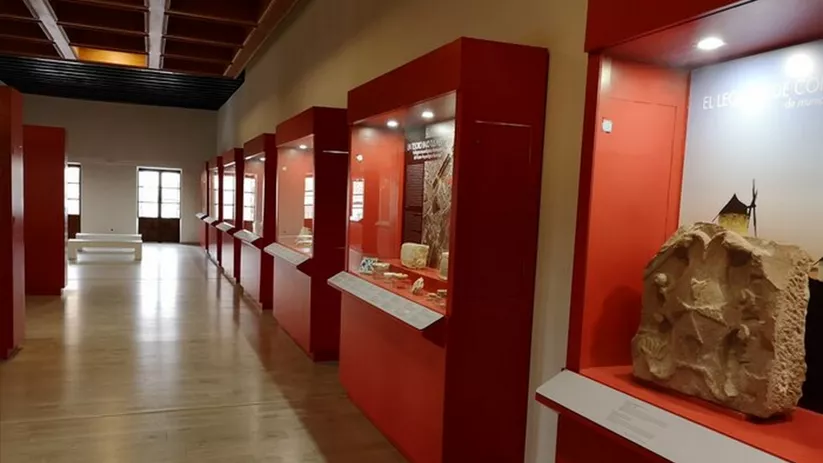 Pasillo de museo con vitrinas rojas iluminadas y piezas históricas en exposición.