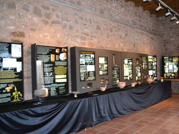 Paneles informativos en sala de museo