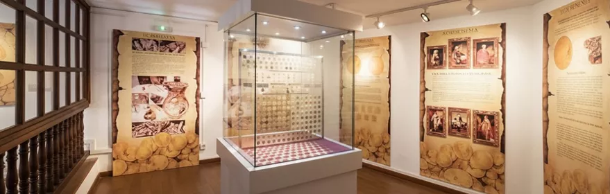 Vitrina con monedas y paneles informativos en sala expositiva.