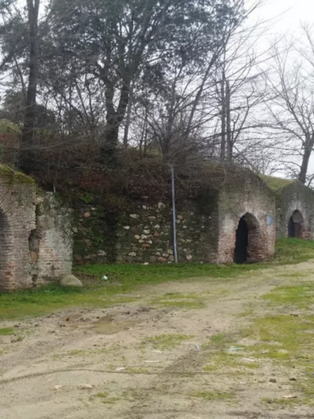 Entradas arqueadas de cuevas excavadas en talud junto a un camino.