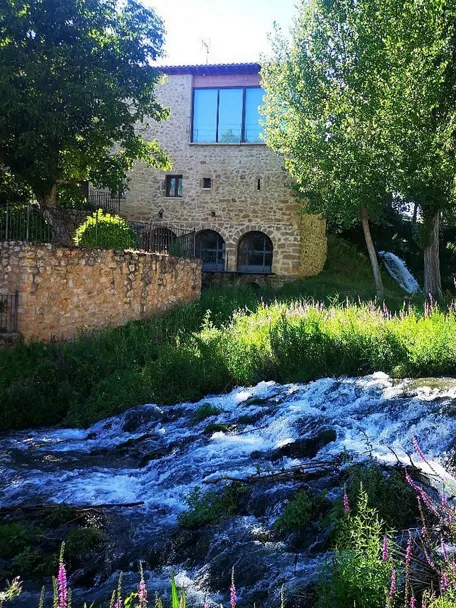 Casa de piedra junto a río y vegetación.