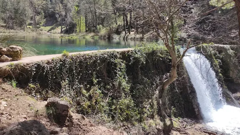 Pequeña presa con agua cristalina y cascada rodeada de pinos.