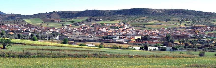Castillo en ruinas entre rocas y arbustos en flor
