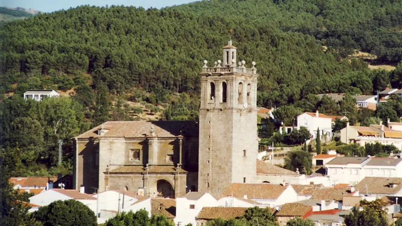 Iglesia de piedra con torre alta junto al bosque