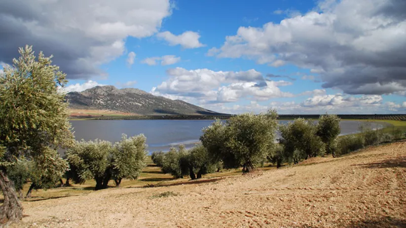 Laguna con olivos en primer plano y cielo parcialmente nublado