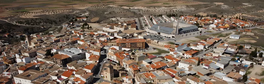 Vista aérea del casco urbano y campos alrededor
