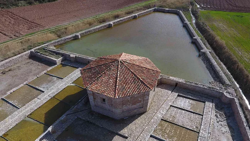 Vista aérea de balsas rectangulares con construcción tradicional y campos alrededor.