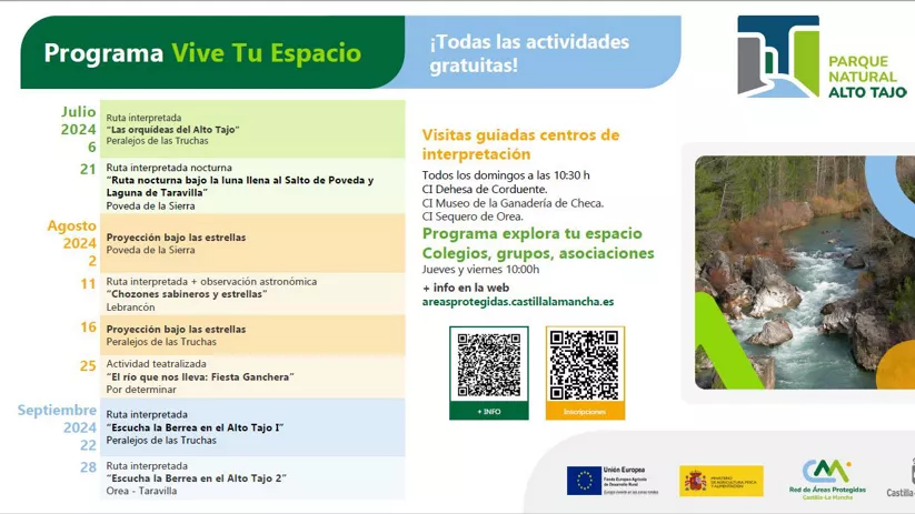 PROYECCION BAJO LAS ESTRELLAS