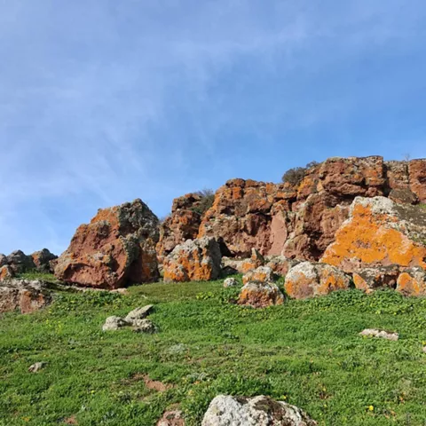 Afloramientos rocosos con líquenes sobre pradera verde