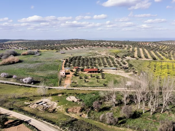 Vista aérea de campos de cultivo y edificaciones rurales