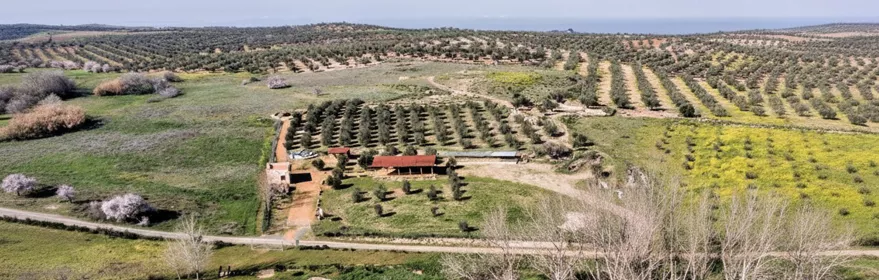 Vista aérea de campos de cultivo y edificaciones rurales