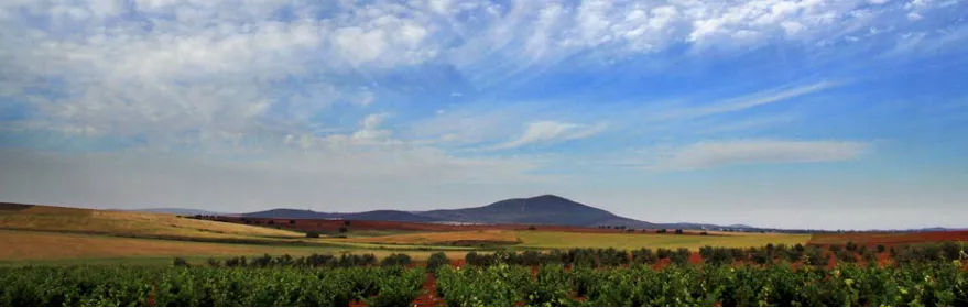 Paisaje rural con campos cultivados, colinas suaves y cielo con nubes dispersas.