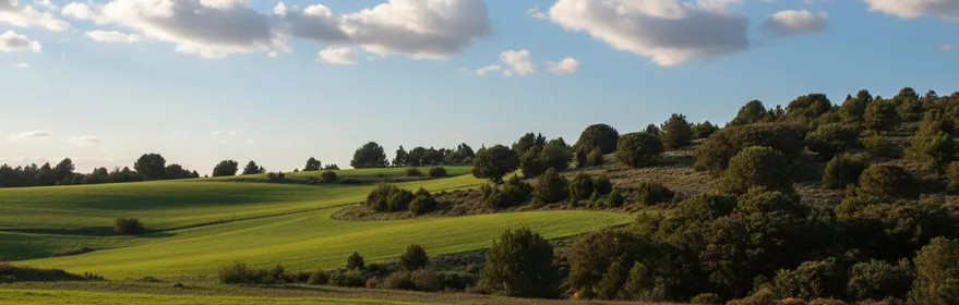 Paisaje rural de Traid