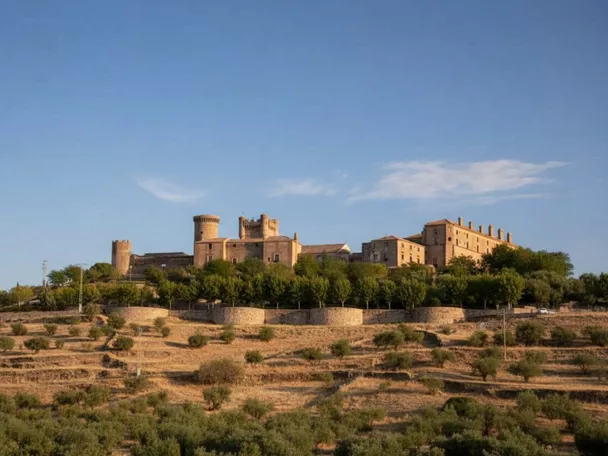 Castillo sobre una colina con campos secos y olivos en primer plano.