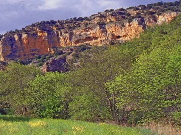 Pradera verde bajo acantilados rocosos