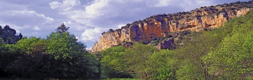 Pradera verde bajo acantilados rocosos