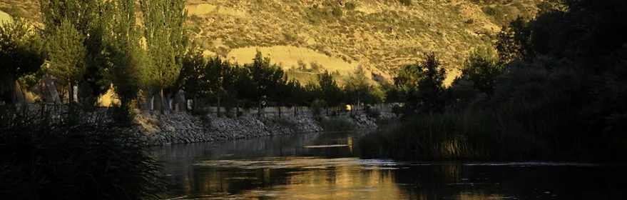 Río tranquilo entre montes y vegetación.