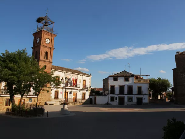 Plaza amplia con ayuntamiento, torre del reloj e iglesia