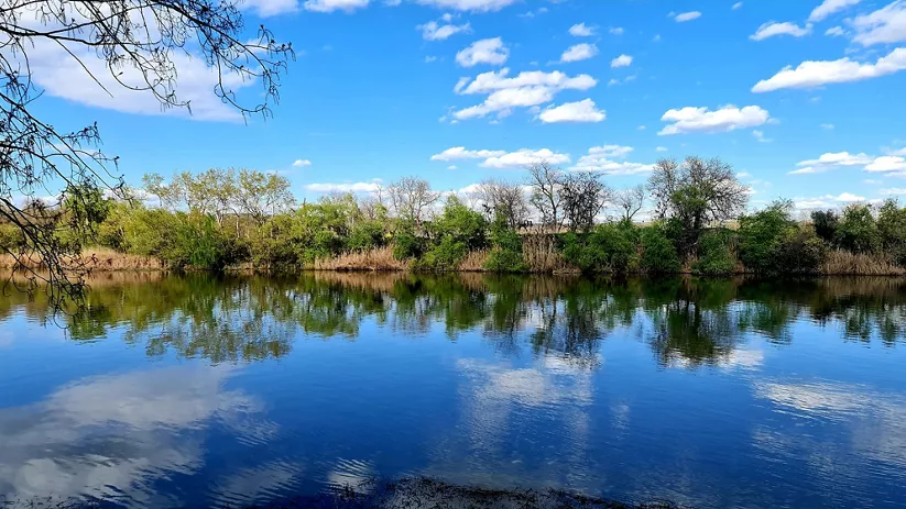 Río tranquilo con reflejos de árboles y cielo azul