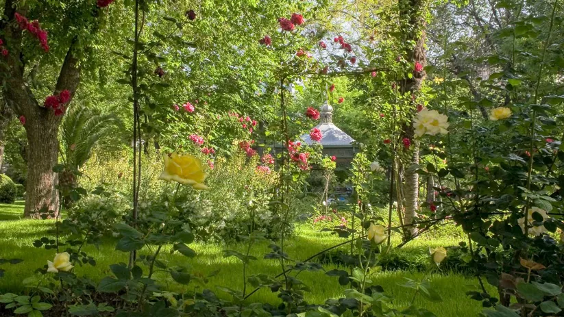 Jardín urbano con rosales, árboles frondosos y un quiosco al fondo.
