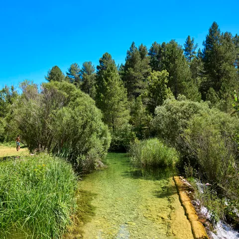 Bañistas en los alrededores de Poyatos