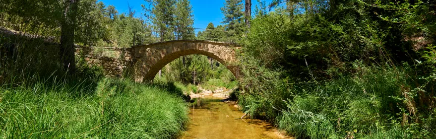 Puente Barbazoso, Poyatos