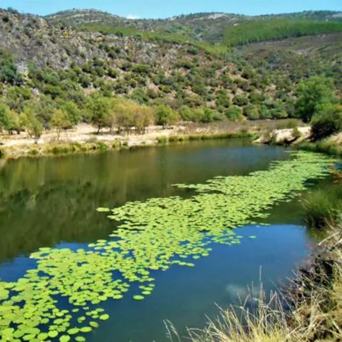 Entorno de Puebla de Don Rodrigo