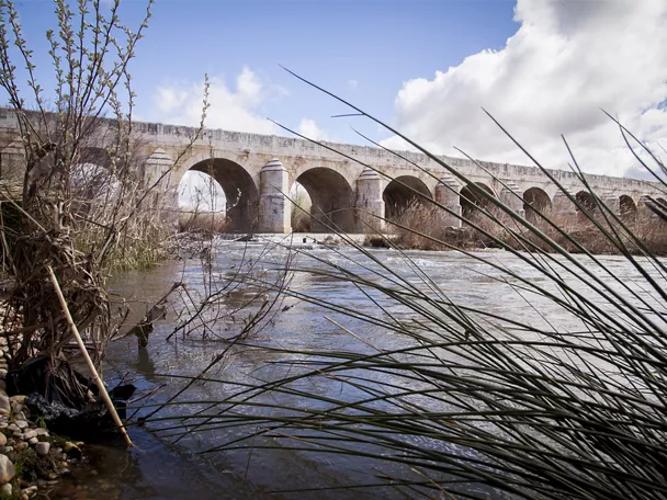Puente de piedra con arcos sobre un río rodeado de vegetación