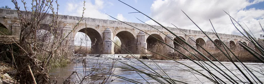 Puente de piedra con arcos sobre un río rodeado de vegetación