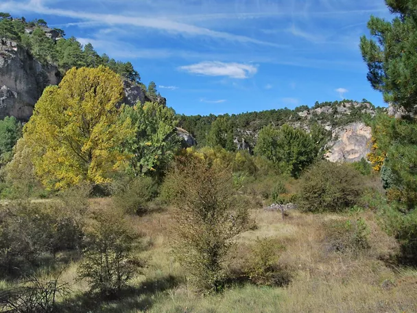 Valle natural del Alto Tajo.