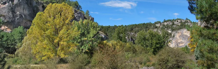Valle natural del Alto Tajo.