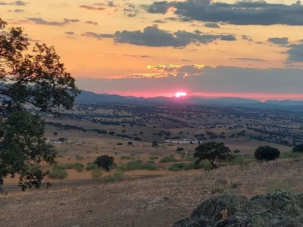 Puesta de Sol en el Parque Natural del Valle de Alcudia y Sierra Madrona en Ciudad Real