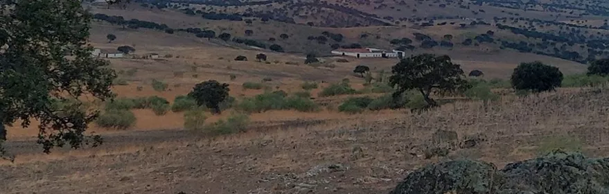 Puesta de Sol en el Parque Natural del Valle de Alcudia y Sierra Madrona en Ciudad Real
