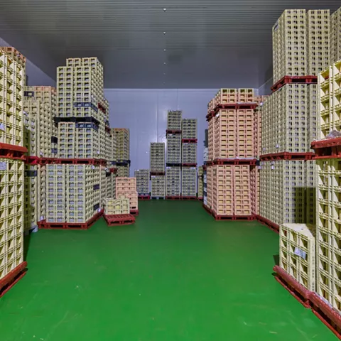 Instalaciones Quesería