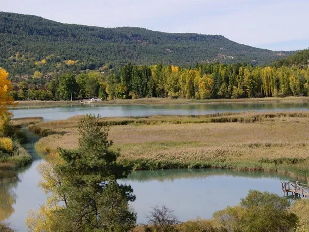 Humedal rodeado de vegetación y colinas boscosas