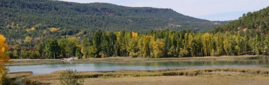 Humedal rodeado de vegetación y colinas boscosas