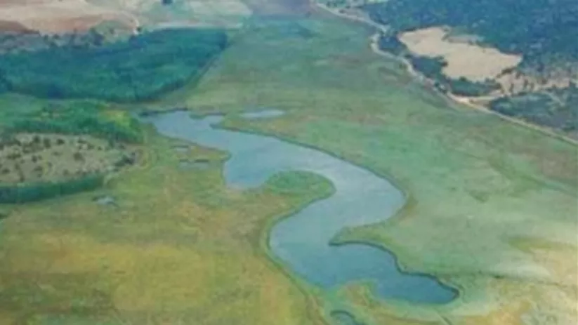 Vista aérea de humedal con agua serpenteante entre praderas verdes.
