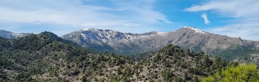 Colinas cubiertas de pinos y crestas rocosas al fondo.