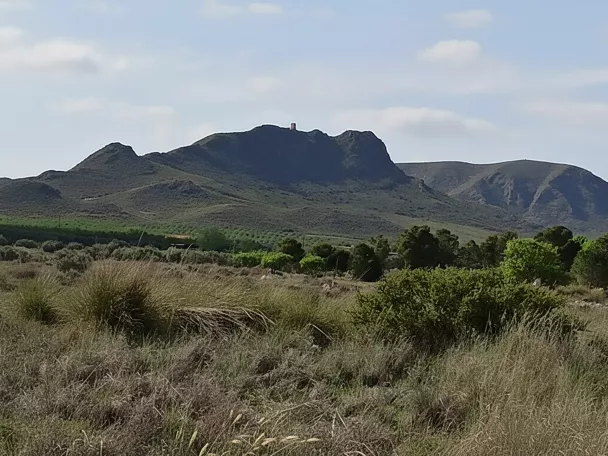 Llanura de matorral con una sierra al fondo y nubes dispersas en el cielo.
