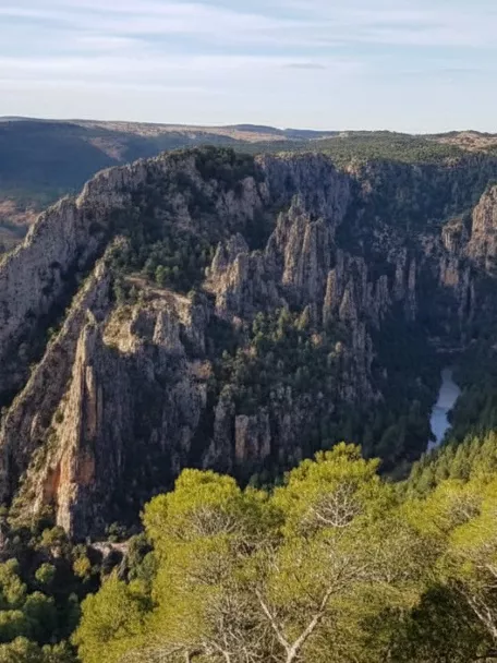 Cañón rocoso con río serpenteando entre pinares.