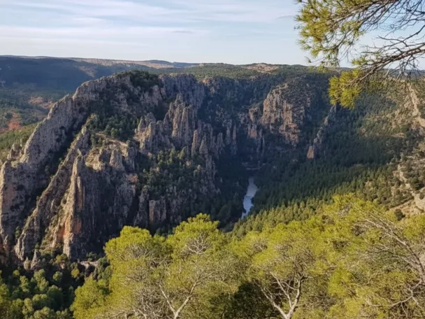 Cañón rocoso con río serpenteando entre pinares.
