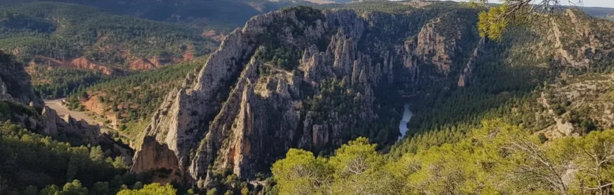 Cañón rocoso con río serpenteando entre pinares.
