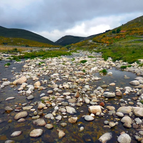 Río con piedras en valle