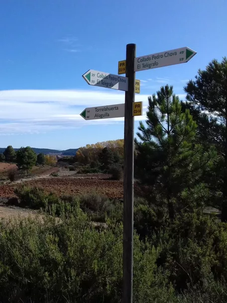 Cruce de caminos en la microrreserva Pico Pelado de Aliaguilla
