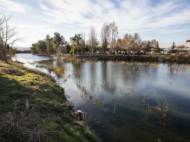Lago urbano rodeado de árboles en otoño