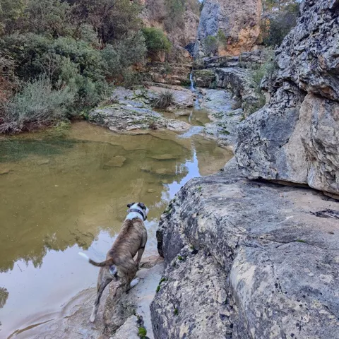 Ruta de senderismo en Puntal de las Palomas en las hoces del río Cabriel