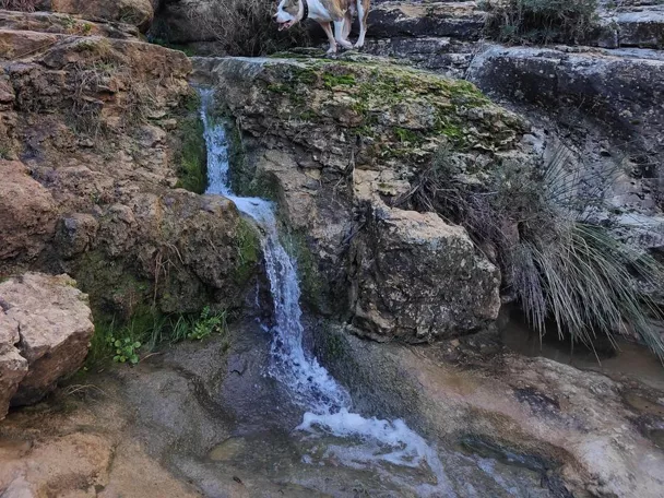 Ruta del Punta de las Palomas en las hoces del Cabriel