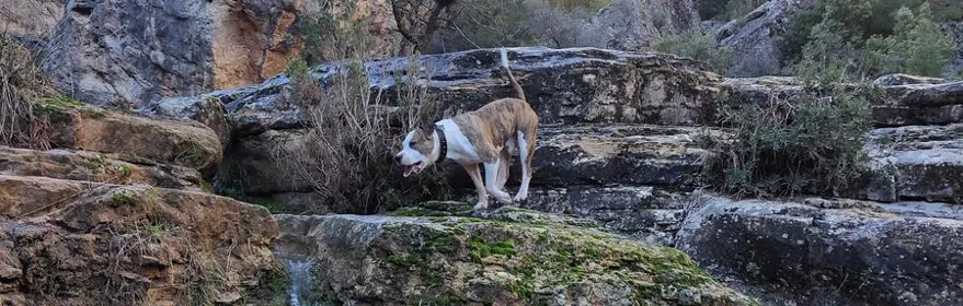 Ruta del Punta de las Palomas en las hoces del Cabriel